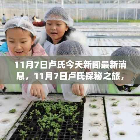 11月7日卢氏探秘之旅，自然美景与心灵宁静的追寻