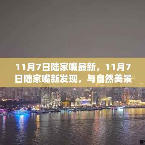 11月7日陆家嘴新发现,自然美景中的内心宁静之旅