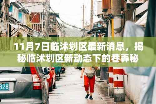 临沭划区最新动态揭秘,特色小店独特风情与巷弄秘境的探寻