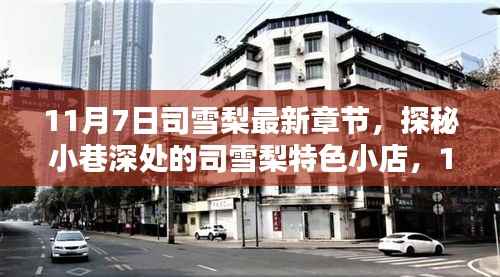 探秘司雪梨特色小店,最新章节启示与小巷深处的惊喜