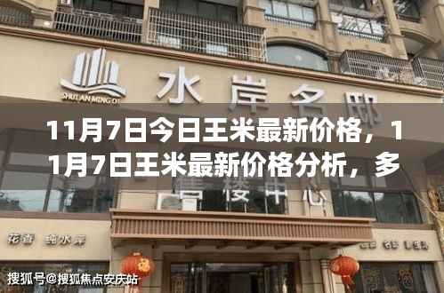 11月7日王米最新价格走势,多方观点交织的思考与分析
