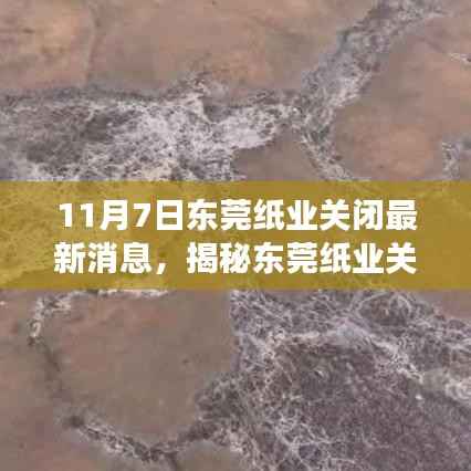 揭秘东莞纸业关闭最新消息,行业震荡与未来展望(11月7日)