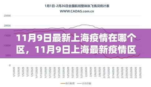 11月9日上海疫情区域最新分析报告,疫情区域分布及防控措施