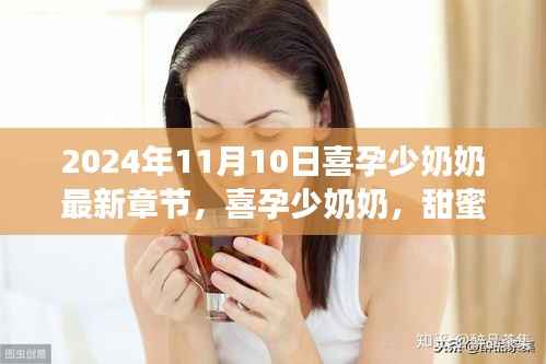 喜孕少奶奶最新章节揭秘,甜蜜生活与孕育之旅的探秘分享(附小红书心得分享)