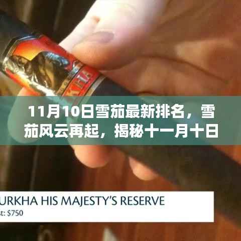 揭秘全球雪茄风云变幻,最新排名背后的故事(十一月十日版)
