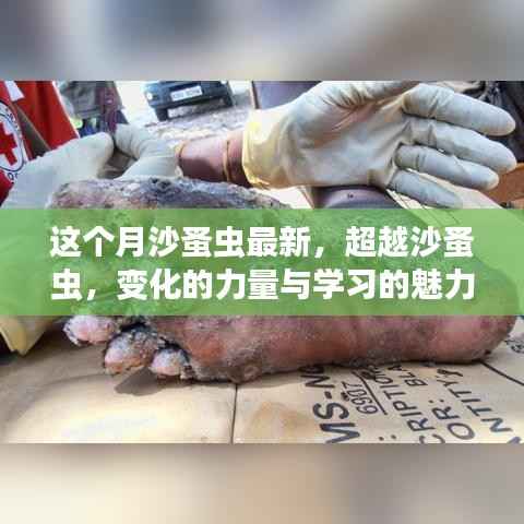 超越沙蚤虫,变化的力量与学习的魅力最新报道