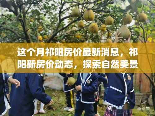 祁阳房价最新动态与探索自然美景,内心平和宁静的寻觅之旅