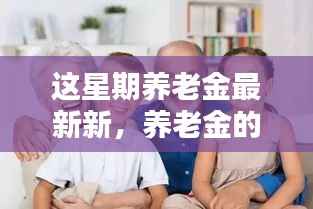 养老金最新动态揭秘,星期里的温馨养老生活日常笑谈。