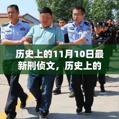 历史上的11月10日最新刑侦文,深度测评与介绍
