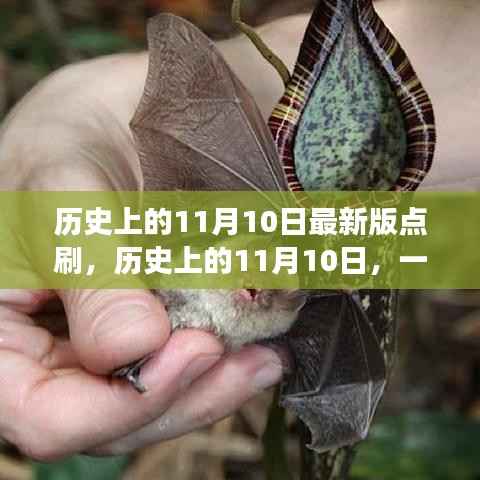 历史上的11月10日,点刷自然的奇妙旅程,探寻内心的平和与宁静