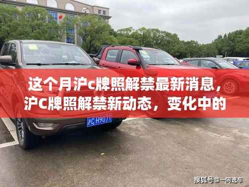 沪C牌照解禁新动态,机遇与挑战并存,自信成就未来之路