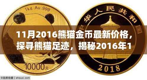 揭秘熊猫足迹,探寻最新熊猫金币价格,启程自然之旅寻找内心宁静平和之旅