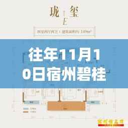 宿州碧桂园智能生活新纪元揭秘,前沿科技产品重磅发布日最新资讯(宿州碧桂园最新信息)
