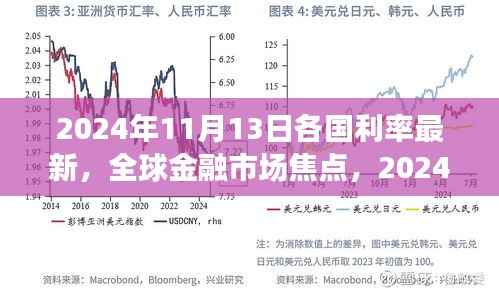 全球金融市场焦点,2024年11月13日各国利率最新动态及评测