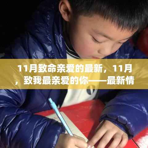 11月致我最亲爱的你,最新情感分享与感悟