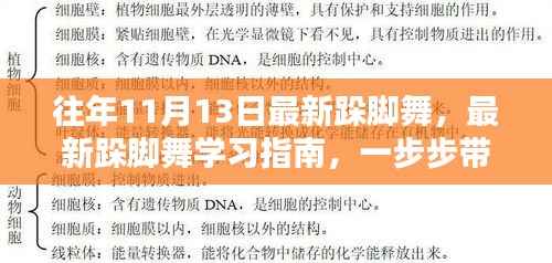 『最新跺脚舞热潮,11月13日舞步学习指南』