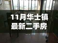 容光焕发 第8页