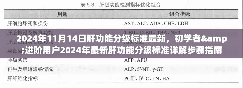 初学者与进阶用户必备,2024年最新肝功能分级标准详解与步骤指南