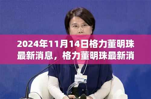 格力董明珠最新动态揭秘,2024年决策过程与格力发展展望