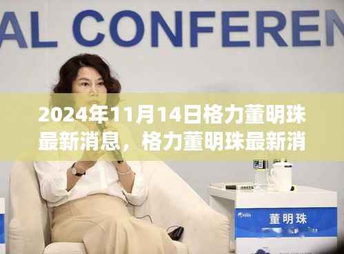 格力董明珠最新动态揭秘,2024年决策过程与格力发展展望