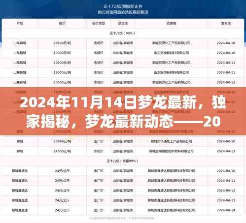 独家揭秘，梦龙最新动态——探索之旅（2024年11月14日）