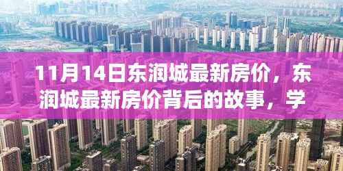 东润城最新房价揭秘,变化的力量与自信成就之旅的探寻故事