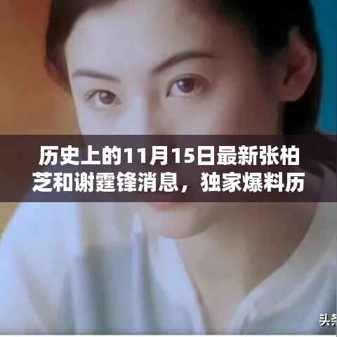 独家揭秘,张柏芝与谢霆锋的11月15日最新动态与历史回顾