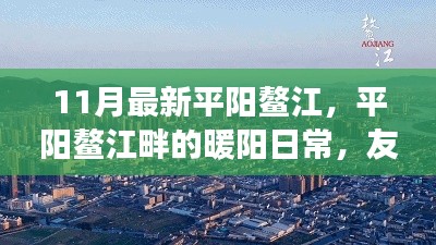 平阳鳌江畔的暖阳生活,友情、趣事与家的温馨