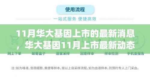 揭秘华大基因成功上市背后的最新动态与故事