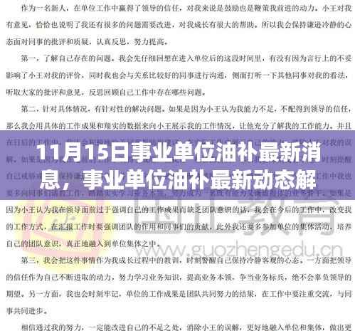 事业单位油补最新动态解析，产品特性、用户体验与目标用户分析（最新消息）