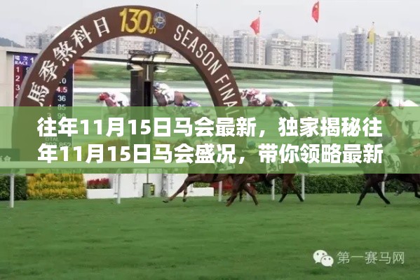 独家揭秘，历年11月15日马会盛况，领略最新风采！