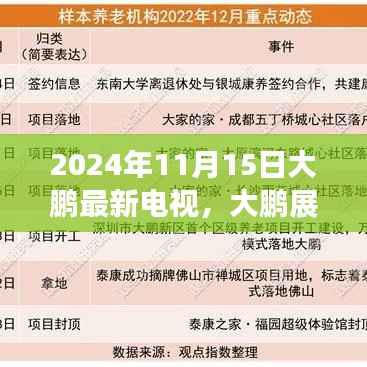 大鹏展翅探寻自然美景之旅，心灵宁静的终极之旅（最新电视推荐）