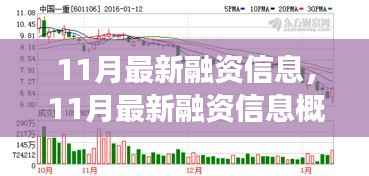洞悉金融机遇与挑战,11月最新融资信息全景概览