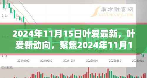 叶爱最新动态揭秘,深度解读与观点碰撞聚焦于2024年11月15日