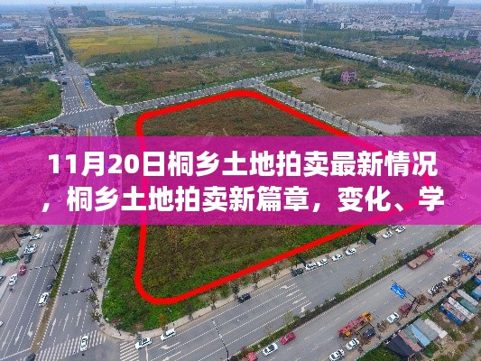 桐乡土地拍卖新篇章，11月20日最新动态与鼓舞之舟