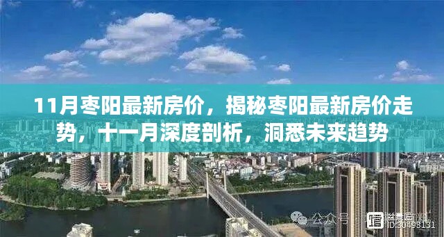揭秘枣阳最新房价走势与未来趋势预测(深度剖析)