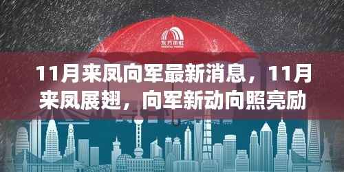 11月来凤向军新动态,展翅高飞,照亮励志之路