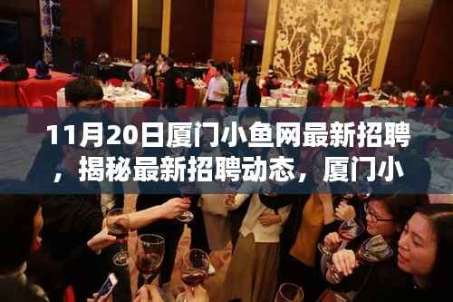 厦门小鱼网11月20日最新招聘热点揭秘