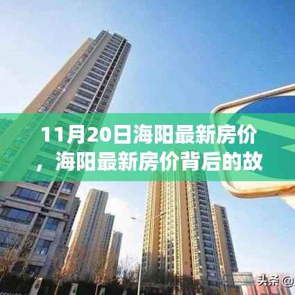 海阳最新房价揭秘，变化的力量与自信成就之旅