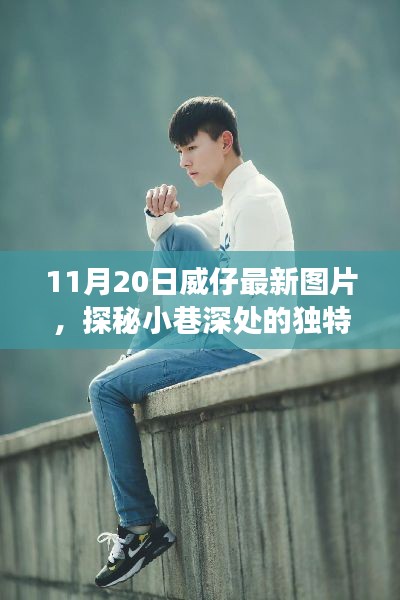 探秘小巷深处的独特风味,威仔最新图片及其背后的故事(11月20日更新)