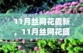 11月丝网花盛开,变化中的学习之旅与自信成就感的绽放时刻