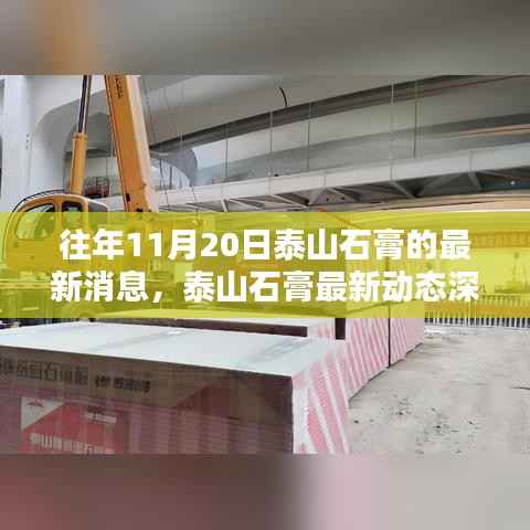 泰山石膏最新动态深度解析,独特魅力与用户体验揭秘(日期标注版)