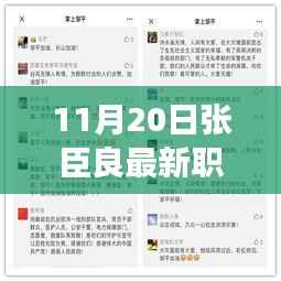 张臣良新职务揭秘，职场与友情的温馨交响曲于11月20日奏响
