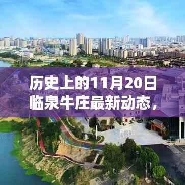历史上的11月20日临泉牛庄最新动态，临泉牛庄最新动态，历史上的11月20日事件与如何跟进当地发展动态