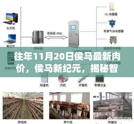 侯马最新肉价揭秘,智能肉价监测系统前沿科技之旅