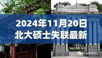 北大硕士失联背后的故事,探秘独特小店与小巷深处的秘密