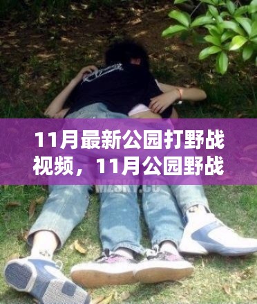 11月最新公园打野战视频,11月公园野战新篇章,热血沸腾的实战视频带你领略战斗魅力!