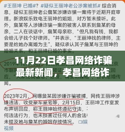 11月22日孝昌网络诈骗最新新闻,孝昌网络诈骗最新动态,揭秘11月22日背后的故事