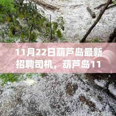 11月22日葫芦岛最新招聘司机,葫芦岛11月22日最新司机招聘启事,优质岗位等你来挑战!