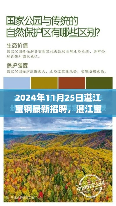 湛江宝钢招聘之旅,探寻自然美景,寻找内心的宁静与平和